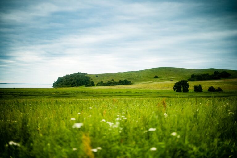 Explore Breathtaking Landscapes with WanderBlueSky’s Travel Tips