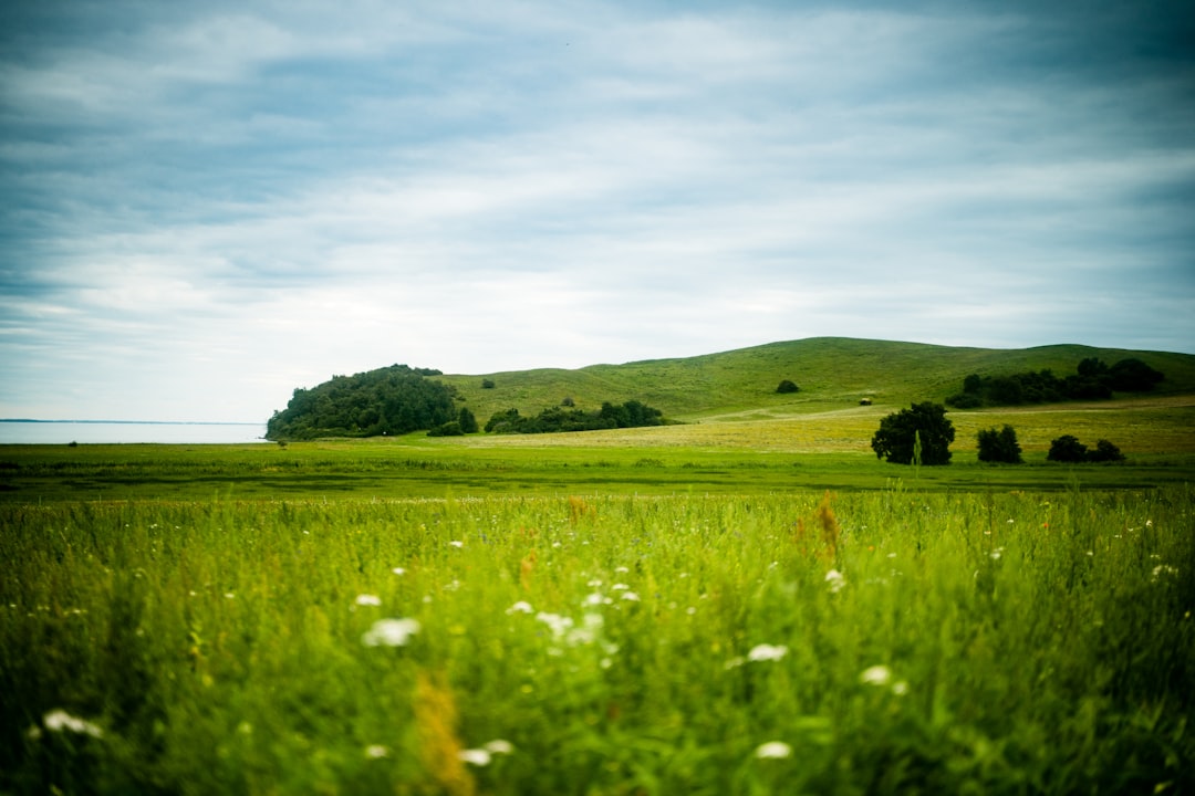 blog_7
